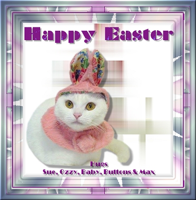 Happy Easter From Sue, Ozzy, Baby, Buttons, & Max